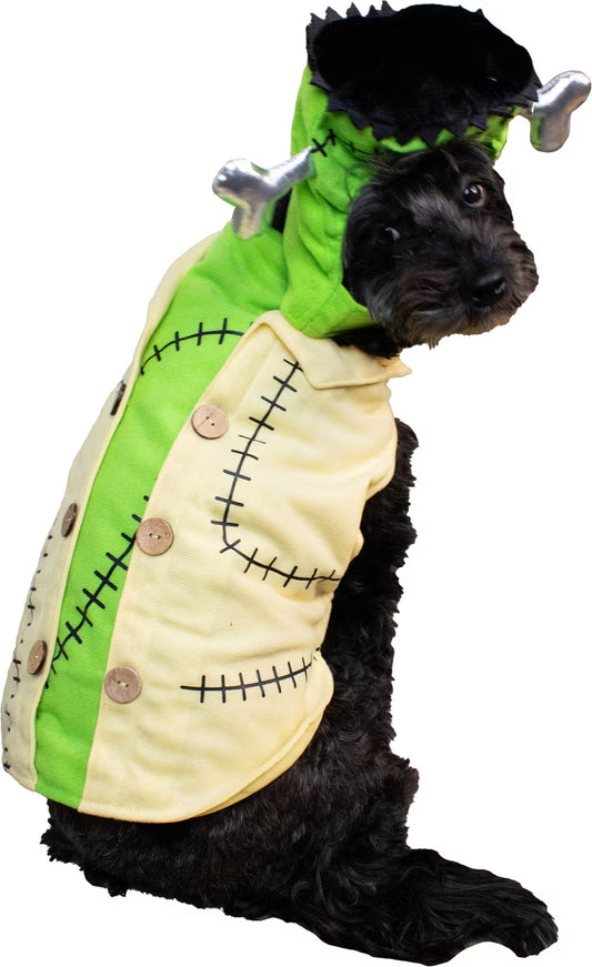 Disfraz Frankenstein