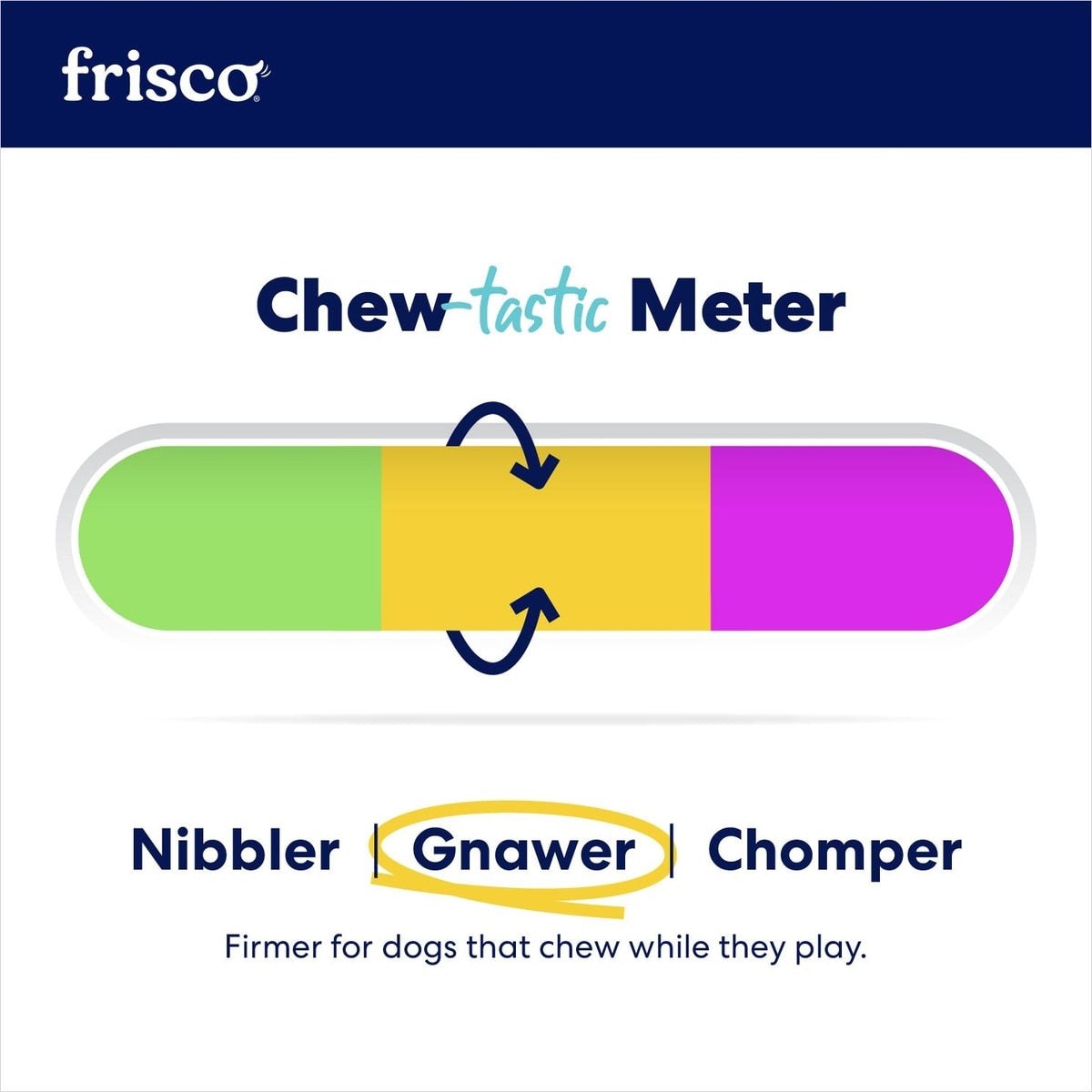 Perro jugando con el hueso de cumpleaños Frisco