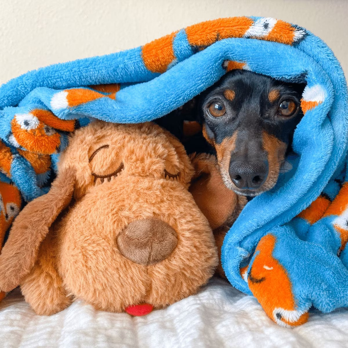 Snuggle Puppy - Peluche reconfortante con latido