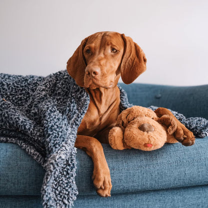 Snuggle Puppy - Peluche reconfortante con latido